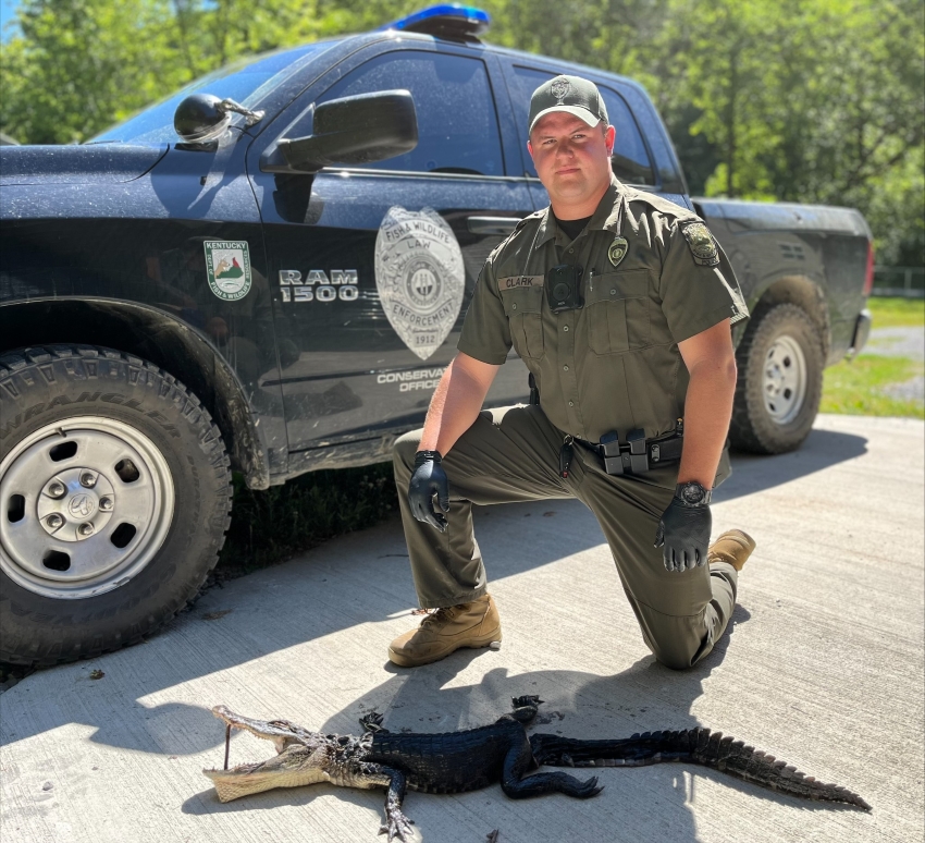 Alligator sighting leads to charges against Harlan County man